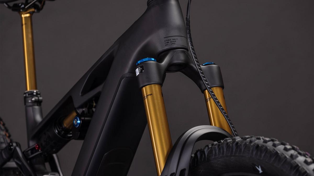 Cube Stereo Hybrid ONE77 HPC AT 800 carbon'n'gold – Bild 5