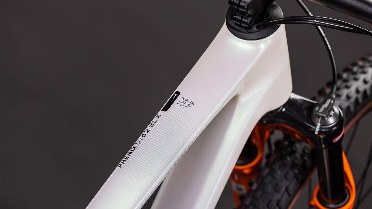 Cube Phenix C:62 Rookie SLX teamline – Bild 2