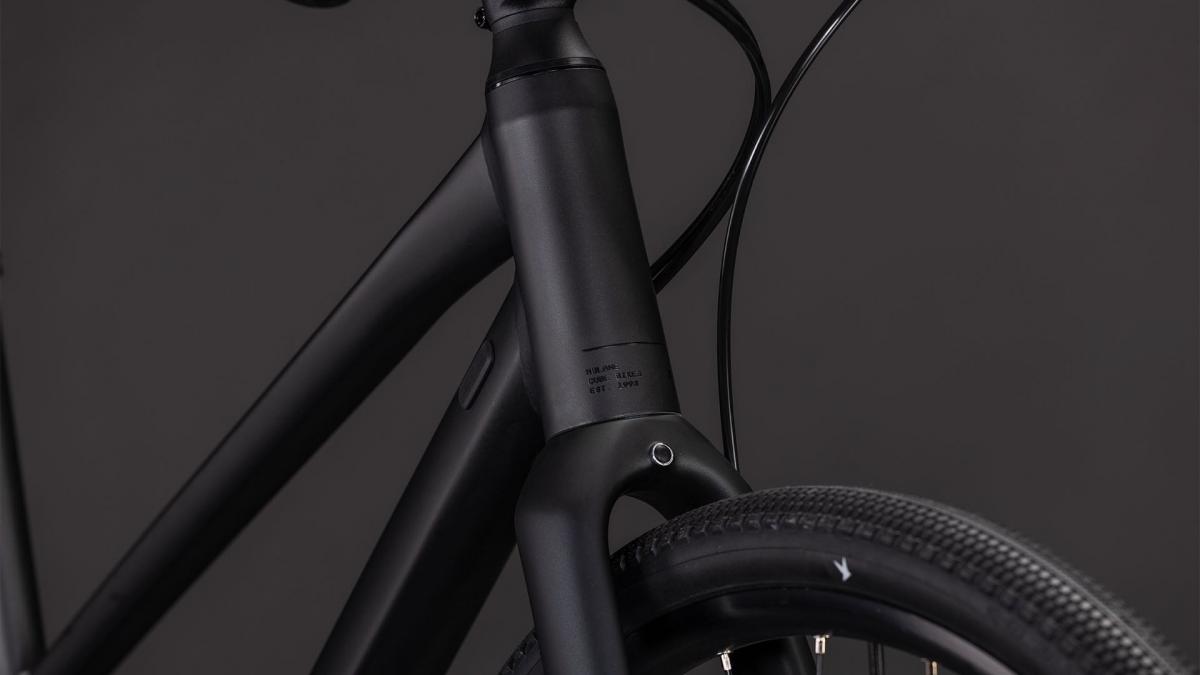 Cube Nulane Pro grey'n'chrome – Bild 6